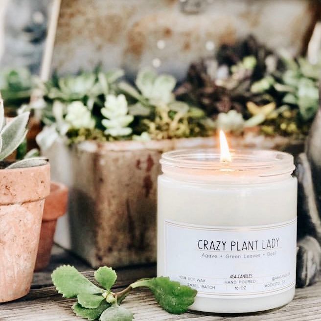 CRAZY PLANT LADY – 464 Candles + Home Fragrance